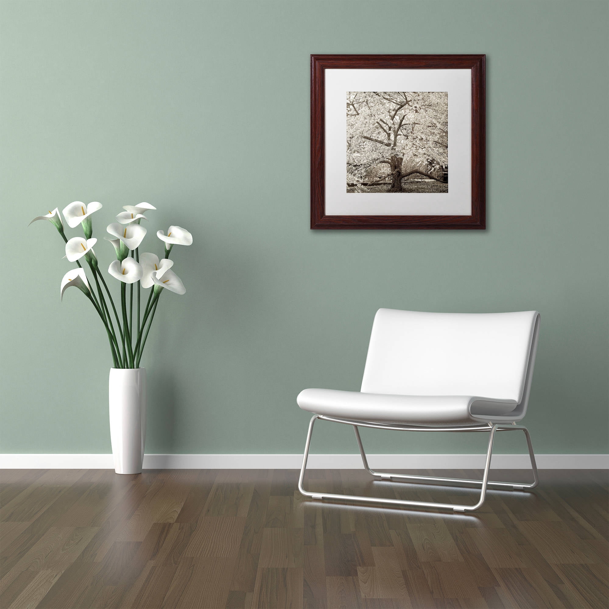 Trademark Fine Art "Hampton Magnolia II" Canvas Art by Alan Blaustein, White Matte, Wood Frame