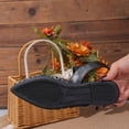 thumbnail image 4 of DIVVce Slingback Flats For Women Floral Embroidery Sheer Mesh Single Woven Instep Strap Pointed Toe Slip On Flat Slingback Shoe Footwear, 4 of 7