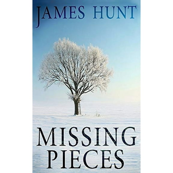 A North and Martin Abduction Mystery: Missing Pieces (Paperback)
