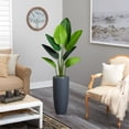 thumbnail image 3 of Nearly Natural 5686 5.5 ft. Traveler Palm Artificial Tree in Gray Planter, 3 of 3