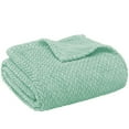 thumbnail image 2 of PAVILIA Soft Fleece Light Green Throw Blanket for Couch, Lightweight Plush Warm Blankets for Bed, Fuzzy Cozy Flannel Blanket Throw for Sofa, Travel, Jacquard Pattern, Mint Green, 50x60 inch, 2 of 8