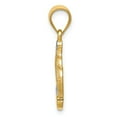 thumbnail image 2 of 14K Two-Tone Gold Charm Pendant 18 mm & Rhodium Crown, 2 of 4