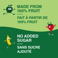 thumbnail image 3 of GoGo squeeZ Fruit Sauce Snack Pouches Variety Pack, Apple Apple, Apple Strawberry, Apple Peach, Apple Banana, No Sugar Added. 90g per pouch, 20 Pouches, 3 of 7