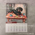 thumbnail image 4 of HomeKingdee 2026 Calender 2026 Wall Calender,12 Month Wall Planners,Funny photo calendar,MAGA Calendar,Thick paper,Easy organization,Beautiful calendar,Funny gift, 4 of 8