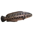 thumbnail image 2 of Snakehead Fish Stuffed Animal, Kids' Plush Toys Pillows, Fish Toys for Student, Long Decorative Pillow, 25X8 Inch 64Cm Soft Stuffed Plush Toys with Printed Scale Pattern for Couch, 2 of 6