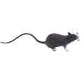 thumbnail image 1 of PENGXIANG Simulation Long Tail Mouse Rat Trick Joke Toy Photo Props Halloween Party Decor, 1 of 11