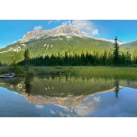 Mt Burgess reflected in Emerald Lake Yoho National Park British Columbia Canada Poster Print by Tim