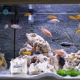 thumbnail image 2 of EeaseMX Caja de cría de peces, caja de acrílico para incubación de peces, caja transparente para peces, pecera, caja de aislamiento de peces, 2 of 7
