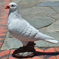 thumbnail image 3 of Elegante Escultura de Estatua de Pájaro de Jardín Artificial para Decoración para hogar Del Césped . Coleccionistas de Pájaros Blanco c shamjiam Pájaros Artesanales Emplumados, 3 of 6