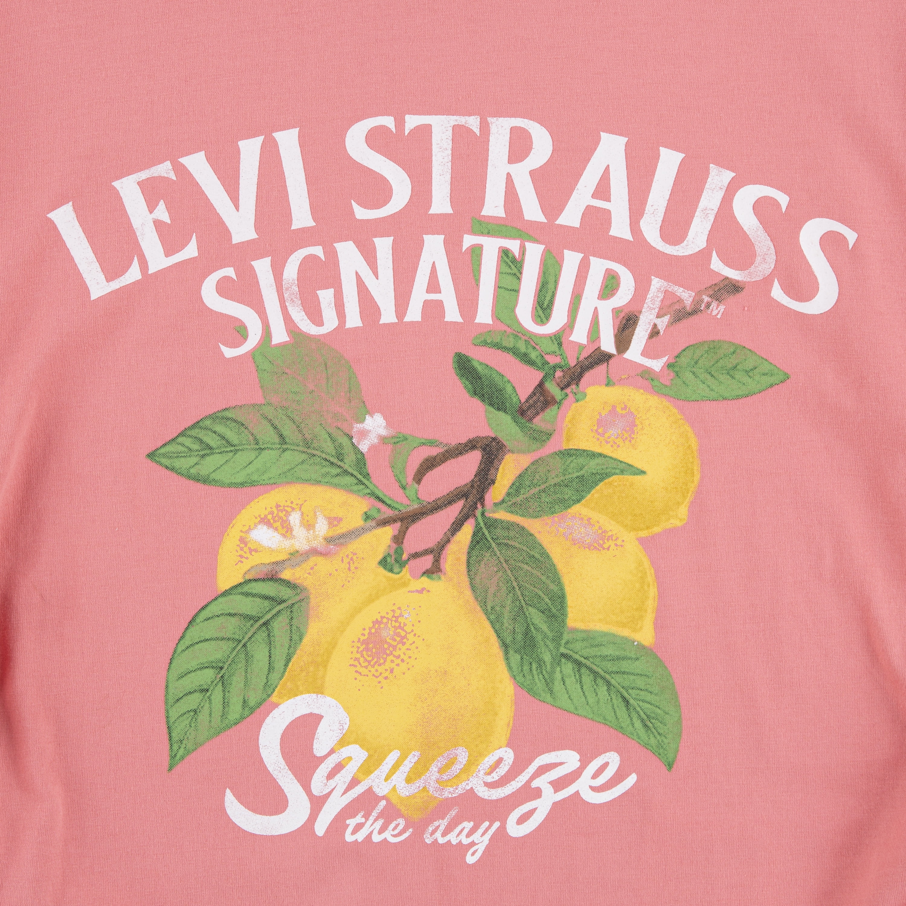 Levi Strauss Signature Girl Short Sleeve Graphic Top, Sizes 4-16