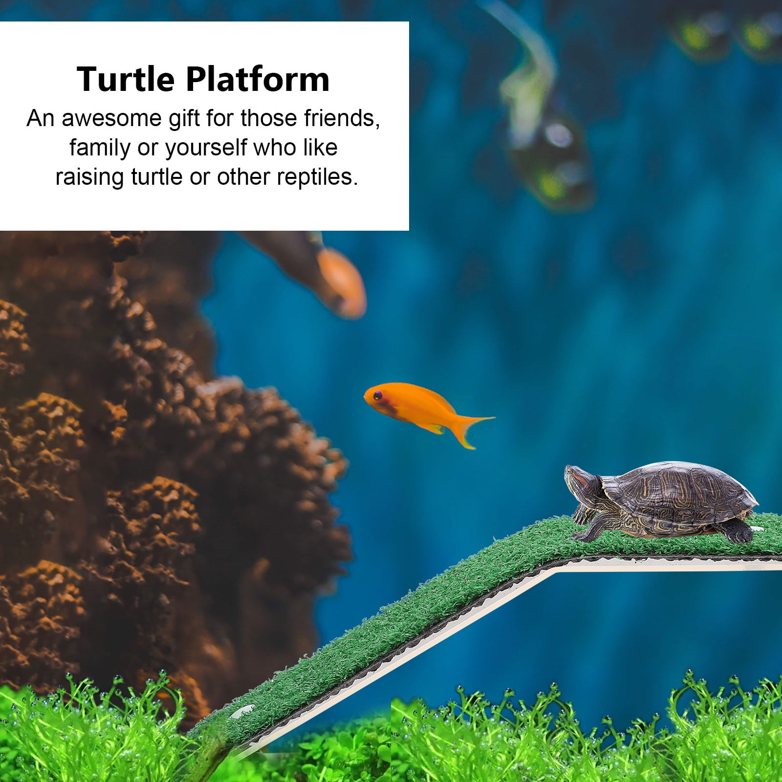 HAMPPLIES PP Turtle Rest Platform with High Load Capacity for Aquarium Decoration and Turtle Habitat