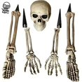 thumbnail image 4 of Skeleton & Posable, Skeleton Skeleton, Model Plastic Skeleton, Movable Joints Of Characters, Halloween Haunted House Props Decoration., 4 of 5