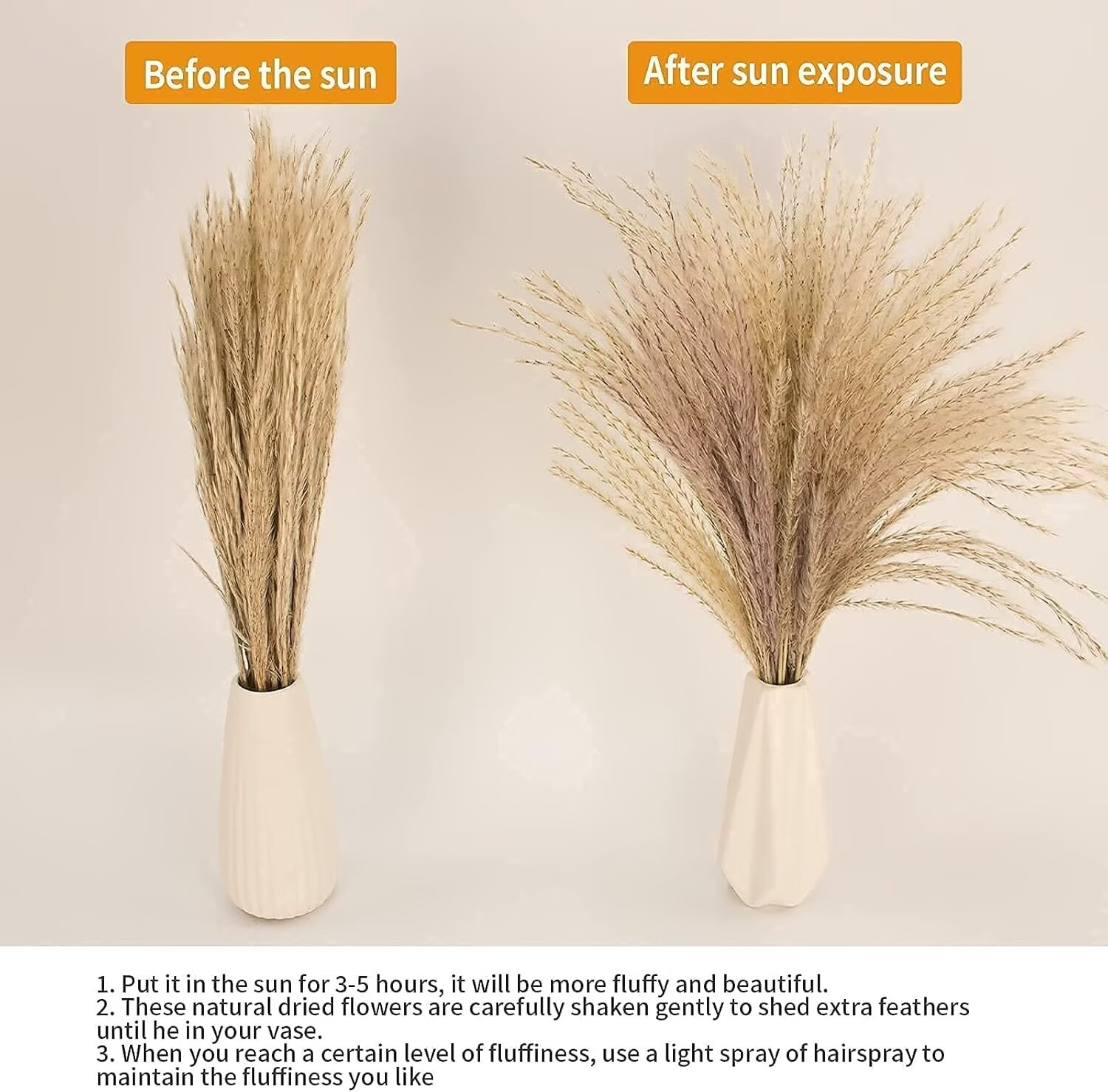 Pakyozj 65PCS Pampas Grass Decor, Including Dried Floral, Reed Dried Grass and Bunny Tails Dried Flowers, Natural Dried Pampas Grass Bouquet for Boho Decor Wedding, Home Decoration