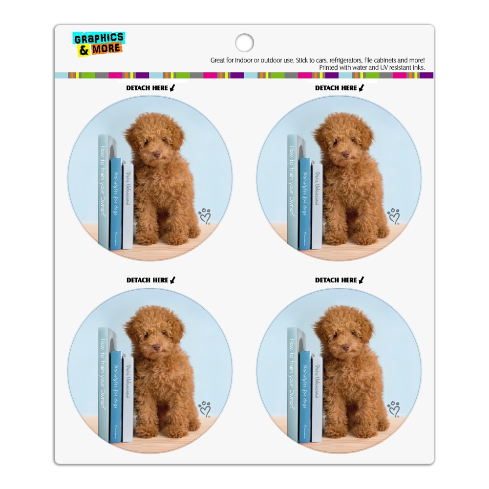 Miniature Poodle Fridge magnet Gifts for dog owners various designs available