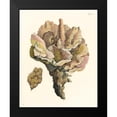 thumbnail image 2 of Vision Studio 20x24 Black Modern Framed Museum Art Print Titled - Antique Coral III, 2 of 5