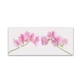 thumbnail image 2 of Trademark Fine Art 'Two Sweet Peas' Canvas Art by Cora Niele, 2 of 4