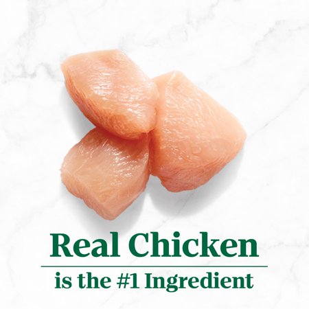 NUTRO SO SIMPLE CHICKEN RECIPE IN BONE BROTH WET DOG MEAL COMPLEMENT, 2 OZ TRAY