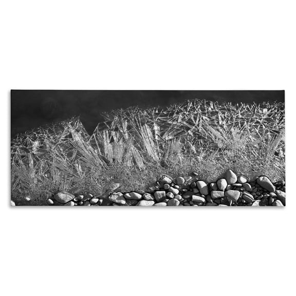 Stupell Industries Coastal Frozen Water Crystals Nautical Coast Black White Canvas Art, 30 x 13, by Janice Gaynor