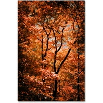 Trademark Fine Art "Autumn Whispers" Canvas Art by Philippe Sainte-Laudy