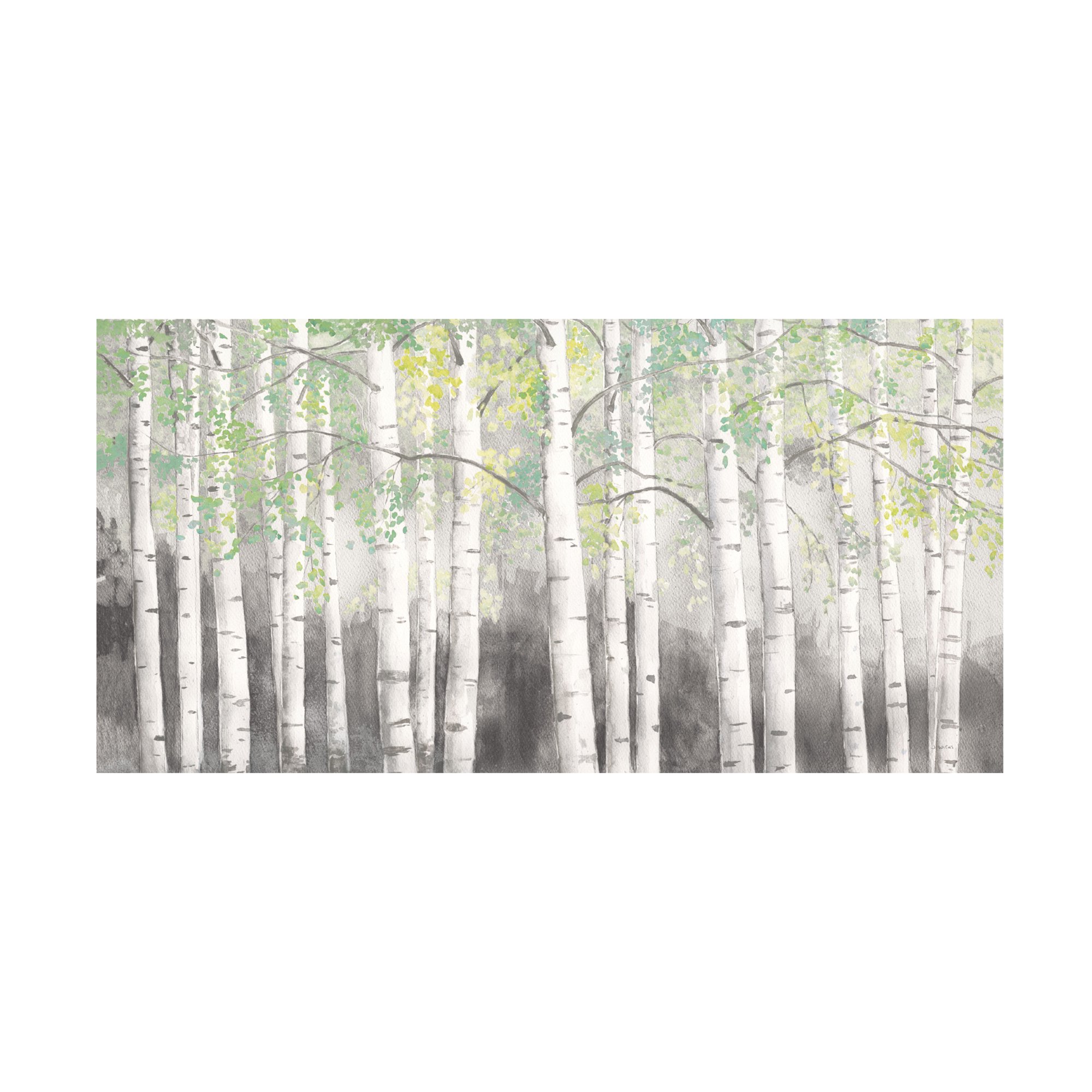 James Wiens 'Soft Birches Charcoal' Canvas Art