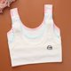 thumbnail image 1 of 3pcs/Lot Girl Underwear Cotton Bra For Girls Short Sports Bras Tops For Teens 6-12 Years Adolescente Lingerie One SizeThin belt random He Qiyong unisex, 1 of 1