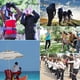 thumbnail image 5 of Silbato, Silbato de Emergencia, Silbato de Emergencia, Silbato con Llavero, 2 Piezas Silbato para niños para la Escuela, Gimnasio, Camping, Pesca, Senderismo, Caza, Ahorro de Li, 5 of 5