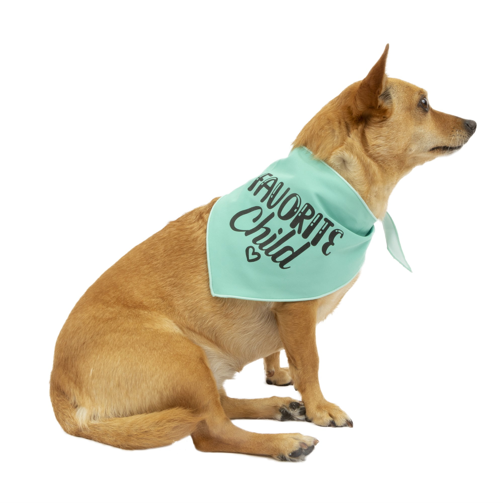 Vibrant Life Favorite Child Dog Bandana, 2 Pack, Multicolor, XS