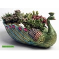 thumbnail image 2 of Pot de Plantation de Cactus Paon 4 Pouces, 2 of 4