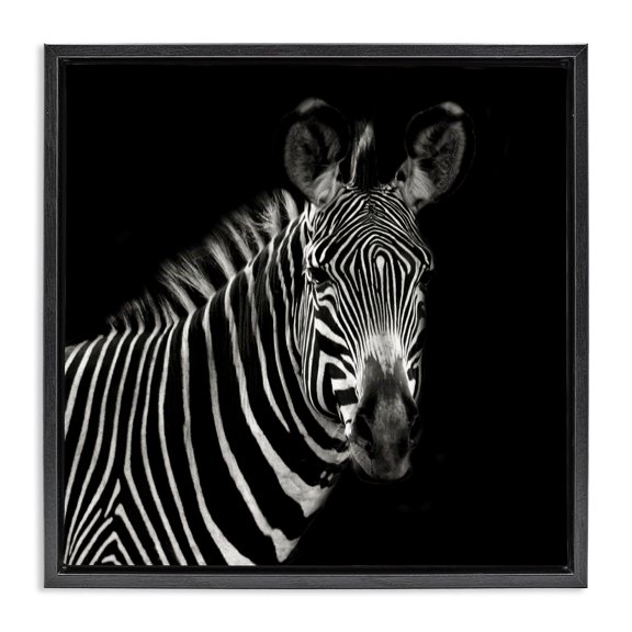 Stupell Industries Modern Jungle Zebra Portrait Black Floating Frame Canvas Art, 18 x 18, by Susan Bryant