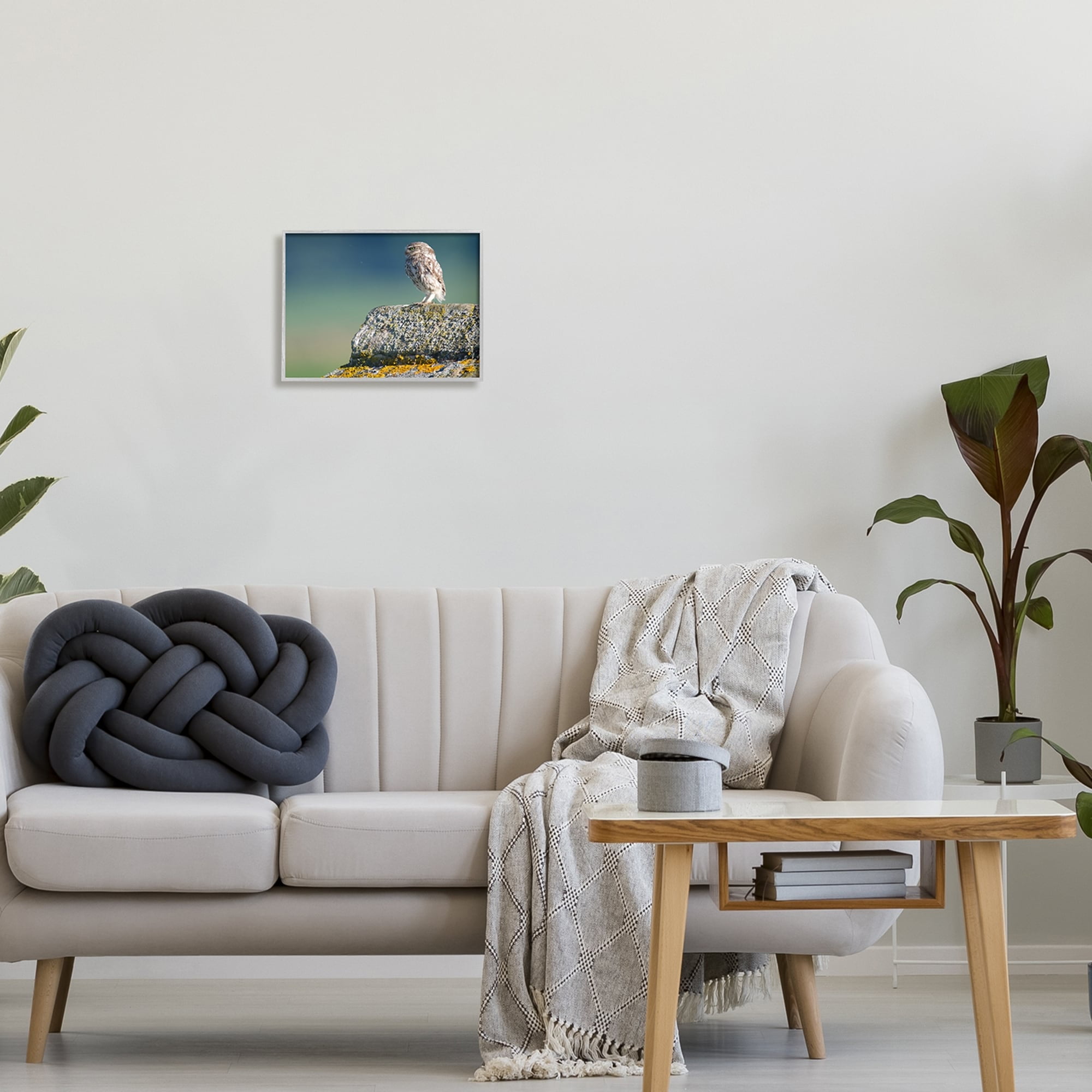 Stupell Industries Small Owl Gazing Thoughtfully Mossy Rock Scenery Photograph Gray Framed Art Print Wall Art, Design by James Dobson