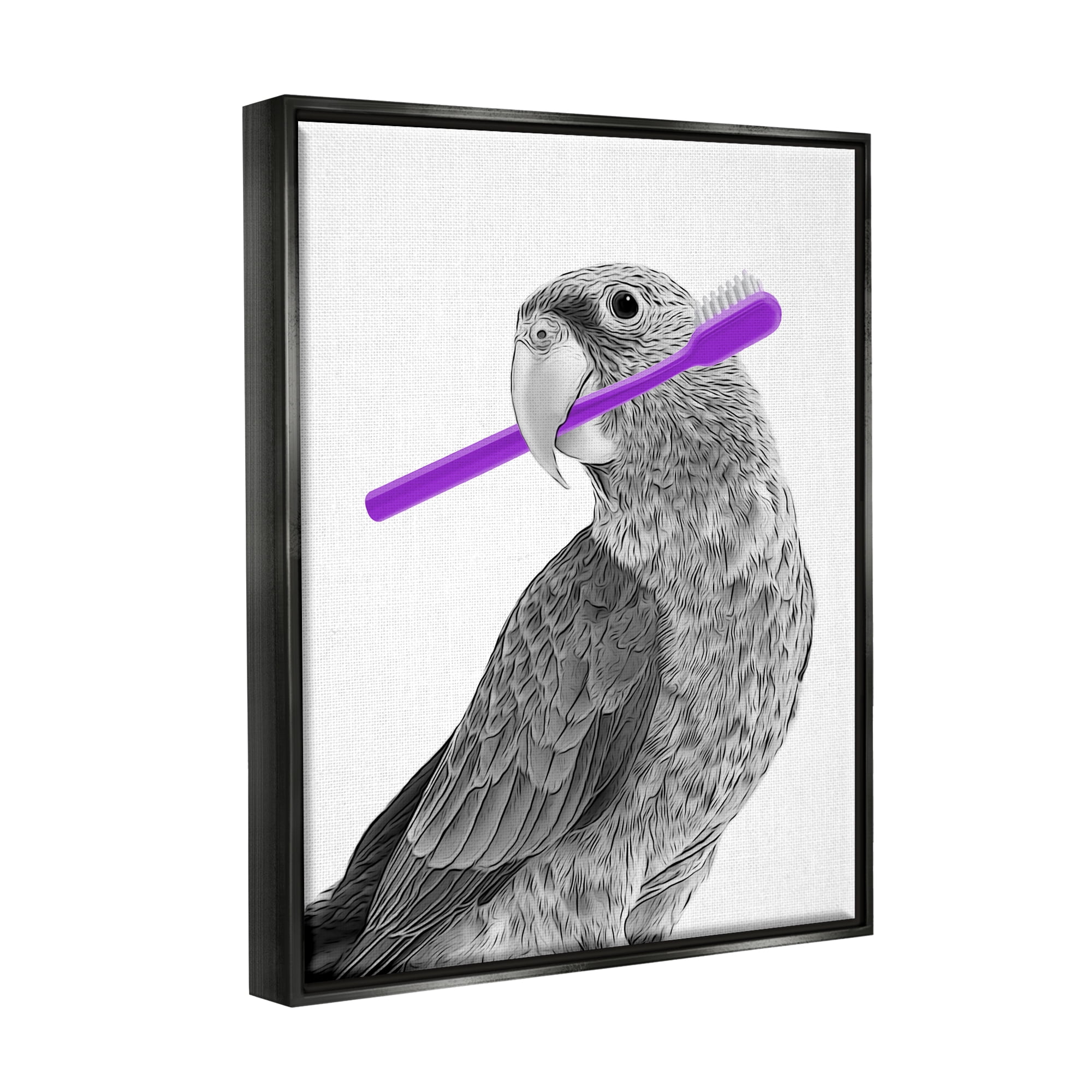 Stupell Industries Parrot With Toothbrush Funny Bird Animals & Insects Painting Black Floater Framed Art Print Wall Art