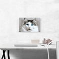 thumbnail image 2 of ARTCANVAS Ragdoll Cat Breed Blue Eyes Canvas Art Print - Size: 18" x 12" (0.75" Deep), 2 of 9