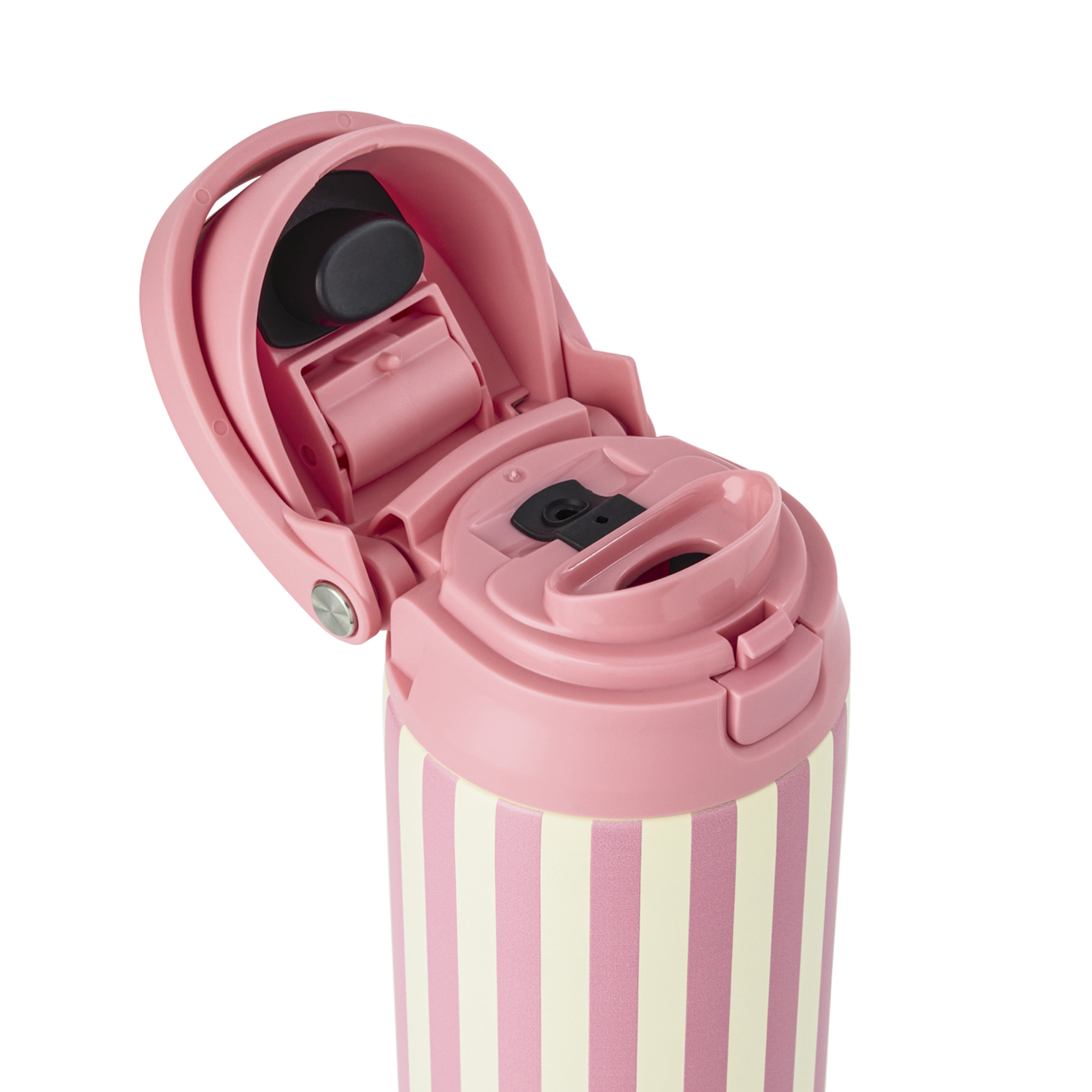 TAL 24oz Stainless Steel 2-in-1 Straw and Chug Water Bottle with Push Lid, Pink Stripes