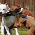 thumbnail image 3 of Bâton pour Chien, 3 of 3