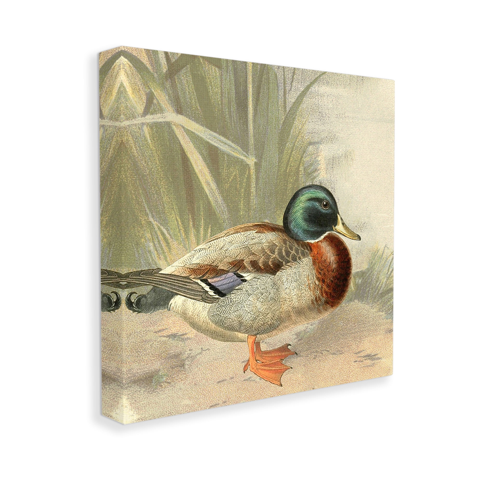 Stupell Industries Traditional Duck & Pond Animals & Insects Painting Gallery Wrapped Canvas Art Print Wall Art, 30 x 30