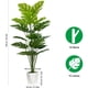 thumbnail image 3 of Set de 2 plantas artificiales Monstera Deliciosa Plants SAJANDAS de 43 pulgadas, 3 of 7