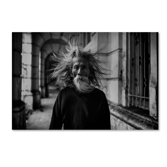 Hardibudi 'That Summer The Wind Blows' Canvas Art