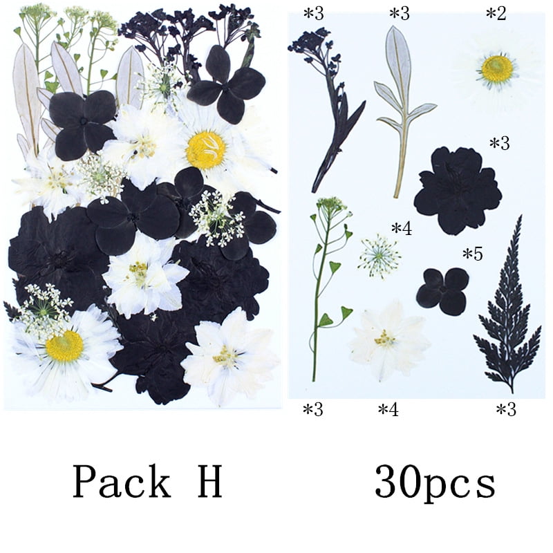 Dalrosia Black Dried Pressed Flowers for Resin Molds, Bulk Real Natural Dry Floral for DIY Art Crafts, Epoxy Jewelry, Candle, Nails Decor, Phone Case,Soap Making