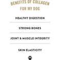 thumbnail image 5 of TRURANCH Collagen Pretzels, Bully - Collagen Dog Treats - Long Lasting Healthy Joint Support Dog Treat - Rawhide Alternative - Skin & Coat Health, 1 Bag, 8 Count, 5 of 8