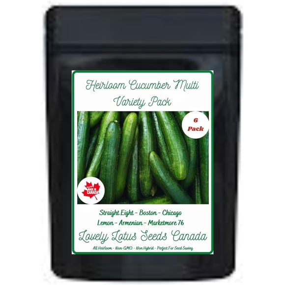 HJADGG Graines de Concombre Patrimoniales Assortiment Multi-Variétés, 6 Variétés, 25+ Graines Chacune, Straight Eight Boston Chicago Lemon Armenian Marketmore 76, non-OGM Toutes Graines