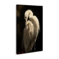 thumbnail image 2 of Stupell Industries Coastal Feathered Egret in Soft Light Canvas Art, 16 x 24, by Petals Prints Design, 2 of 8