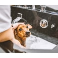 thumbnail image 7 of Tauro Pro Line Pure Nature Magix Plex Dogs and Cats Conditioner Instant Revitalization with Essential Oils for Shiny and Healthy Skin and Coat All Natural Grooming Product, 7 of 7