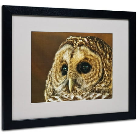 Trademark Fine Art "Barred Owl Portrait" by Lois Bryan, Black Frame