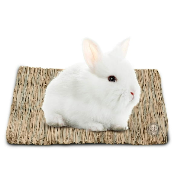 SunGrow Rabbit & Guinea Pig Natural Grass Chew Mat and Hay Bedding Accessories for Small Animals in Cage