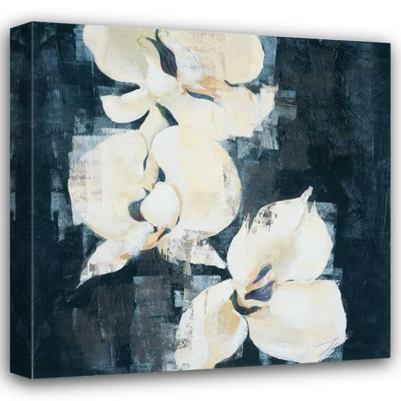 Liz Jardine 28x28 Gallery Wrapped Canvas Wall Art Titled - Shadow Orchids II