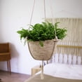 thumbnail image 4 of Neinkie Straw Rope Hanging Planter Baskets Flower Pot Holder Containers | Hanging Pots for Indoor Plants | Hanging Basket for Rustic Home Decor | Woven Basket for Plant Wall Decor, 4 of 7