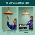 thumbnail image 4 of Smart Bulb WiZ, 40 W, B12, luz LED E12, paquete de 6, 4 of 8