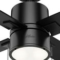 thumbnail image 6 of Hunter 52 inch Indoor Ceiling Fan with LED Light - Black Ceiling Fan with Pull Chain, For Bedroom, Living Room, or Kitchen, Standard Mount, No Remote, 4 Blades - Beck 54215, Matte Black, 6 of 11