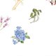thumbnail image 2 of 30 Sheets Flower Decals Different Styles Easy to Use Waterproof PET Bright Colors PET Plants Stickers for Scrapbook DIY, 2 of 3