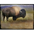 thumbnail image 2 of Art.com Bison Portrait II Stretched Canvas Print Wall Art by Chris Vest, 16" x 12", 2 of 4